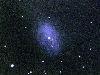 NGC1360