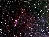 NGC2264-IC2169