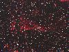 Veil nebulae